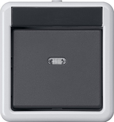 Gira 515130 – Electrical Switch (Black, Grey)