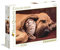 Clementoni 35020 Cuddles – Puzzle 500 Teile, farbenfrohes Legespiel für die ganze Familie, Erwachsenenpuzzle ab 14 Jahren