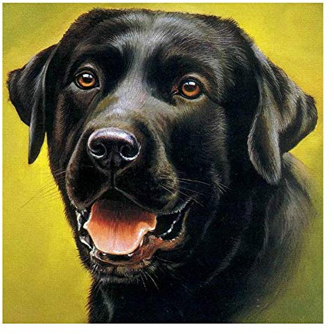 DIY Large Dog Wooden Jigsaw Puzzles for Adults 1000 Pieces Animal pet Black Dog Labrador Painting Pictures Home Decor