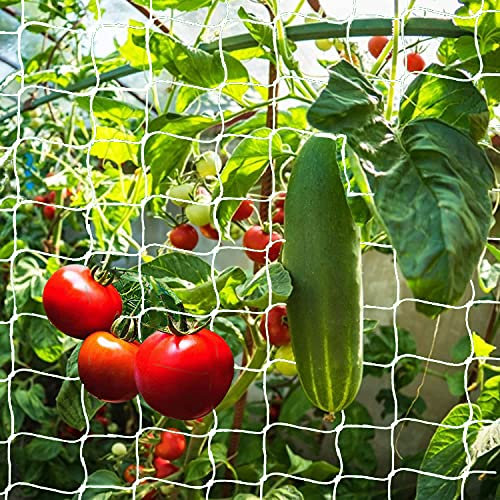 Treillis Jardin Filet en Polyester Filet à Ramer avec Maillage Large Filet à Plantes Grimpantes Filet Jardin Potager Filet d'escalade Support pour Concombres Tomat Recolte Légume Serres Balcons