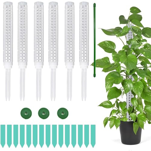 JTQYFI 6 Stück Moosstangen Für Pflanzen Monsteras Indoor Kletterpflanzen Unterstützung Arbeit Mit Sphagnum Garten Totemstangen Stapelbar