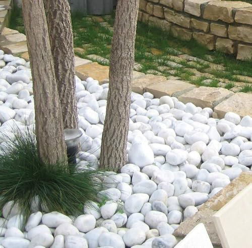 mille idee Ciottoli in marmo bianco carrara, sacca da 25kg, sassi con angoli arrotondati per decorazione ornamento giardino, pietre naturali per Vaso fiori, acquario Diametro 40 60 mm