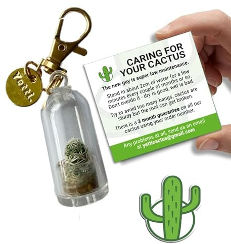 Yetti | Real Cactus Keyring Gold Plated - Living Plant Gift Keychain | Tiny Plant Gift for Cactus Lovers, Plant Keyring Keychain (Gold)