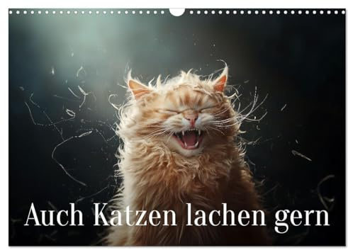Auch Katzen lachen gern (Wandkalender 2026 DIN A3 quer), CALVENDO Monatskalender: Wenn Katzen lachen, bleibt kein Auge trocken (CALVENDO Tiere)