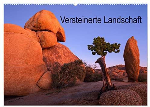 Versteinerte Landschaft (Wandkalender 2026 DIN A2 quer), CALVENDO Monatskalender: Eine bunte Bilderreise durch den steinigen Südwesten der USA (CALVENDO Natur)