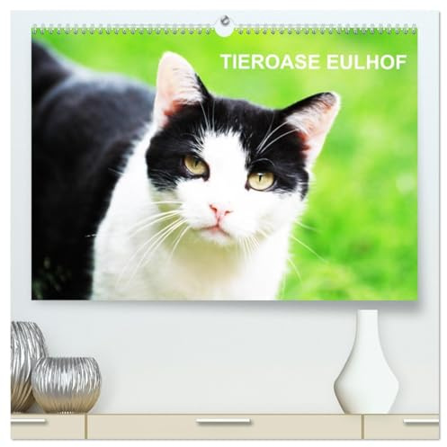 Eulhof (hochwertiger Premium Wandkalender 2026 DIN A2 quer), Kunstdruck in Hochglanz: Eulhof - der Gnadenhof im Mainhardter Wald ist eine Tieroase für ... von liebenswerten Geschöpfen (CALVENDO Tiere)