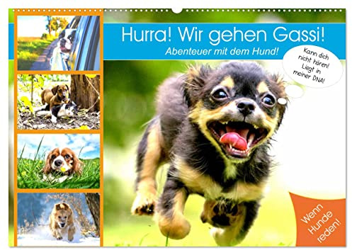 Hurra! Wir gehen Gassi! Abenteuer mit dem Hund! (Wandkalender 2026 DIN A2 quer), CALVENDO Monatskalender: Lustige Hundegedanken für humorvolle Liebhaber der kalten Nasen! (CALVENDO Tiere)