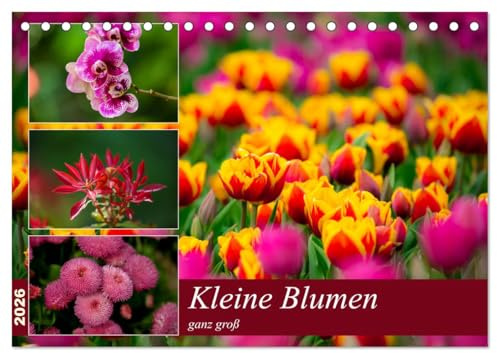 Kleine Blumen ganz groß (Tischkalender 2026 DIN A5 quer), CALVENDO Monatskalender: Erfischender und Harmonischer Kalender mit der Schönheit der Natur ganze Schönheit der Botanik. (CALVENDO Natur)