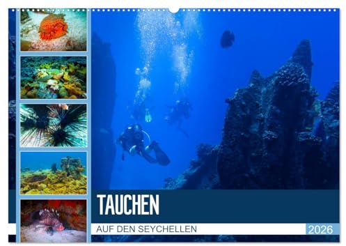 Tauchen auf den Sychellen (Wandkalender 2026 DIN A2 quer), CALVENDO Monatskalender: Faszination Unterwasserwelt (CALVENDO Orte)