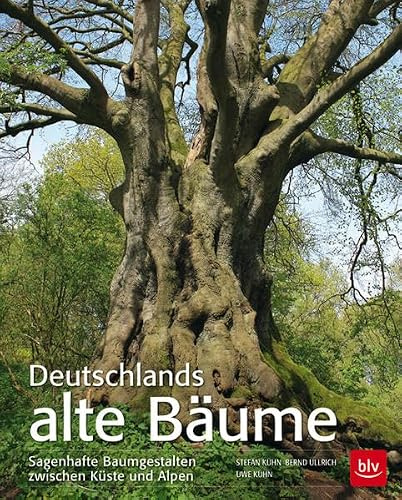 Deutschlands alte Bäume: Sagenhafte Baumgestalten zwischen Küste und Alpen