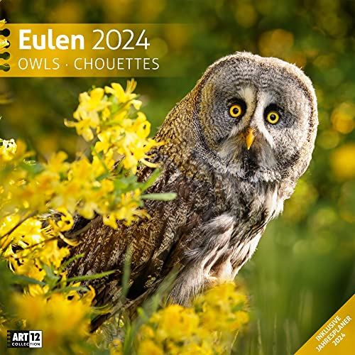 Eulen 2024, Wandkalender / Broschürenkalender im Hochformat (aufgeklappt 30x60 cm) - Geschenk-Kalender mit Monatskalendarium zum Eintragen