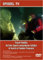 DVD Franck Goddio: Auf den Spuren versunkener Schätze: In Search of Sunken Treasures