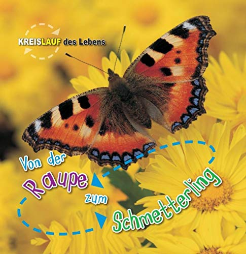 Von der Raupe zum Schmetterling: Kreislauf des Lebens
