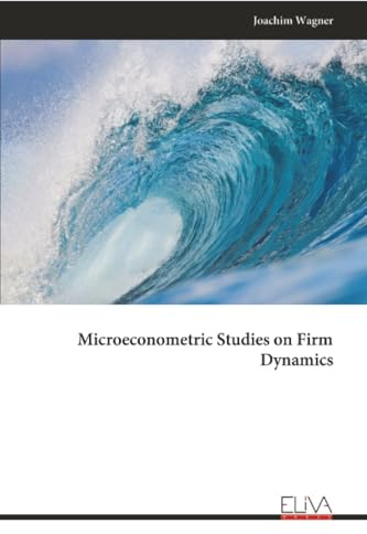 Microeconometric Studies on Firm Dynamics