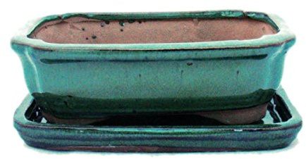 exotenherz - Bonsai-Schale mit Unterteller Gr. 2 - Grün - eckig - Modell G12 - L 15,5cm - B 11,5cm - H 4,5cm