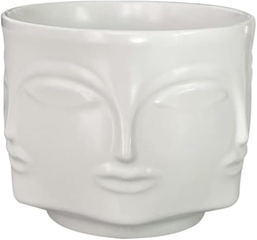 SFBBCLOZ Face-Shaped Vase Ceramic Planter Head Face Modern Indoor Flowers Plant Pot Creative Human Face Statue Decoration Flower Pot Bedroom Living Room Office (White)