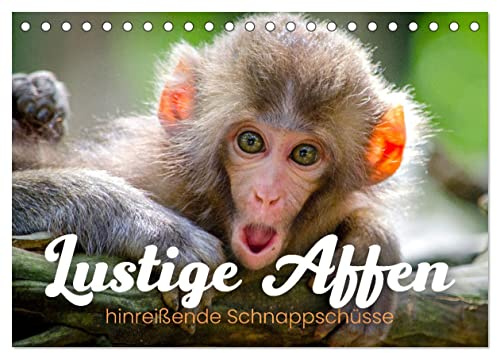 Lustige Affen - hinreißende Schnappschüsse (Tischkalender 2026 DIN A5 quer), CALVENDO Monatskalender: Unterhaltsame Aufnahmen. (CALVENDO Tiere)