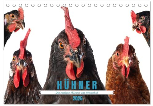 Die lustigen Hühner aus Mosenhof (Tischkalender 2026 DIN A5 quer), CALVENDO Monatskalender: Hühner machen das Leben bunter, (CALVENDO Tiere)