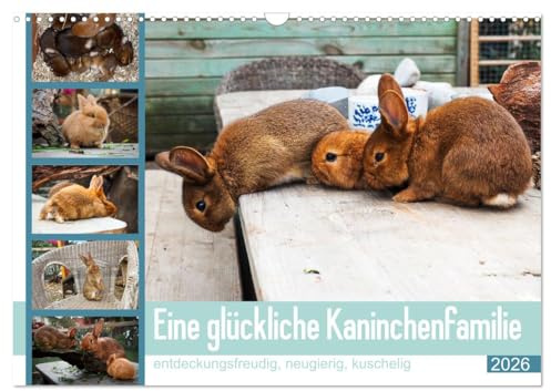 Eine glückliche Kaninchenfamilie (Wandkalender 2026 DIN A3 quer), CALVENDO Monatskalender: Bezaubernde Fotos zuckersüßer und knuddeliger Hasenkinder (CALVENDO Tiere)