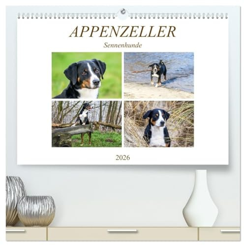 Appenzeller Sennenhunde (hochwertiger Premium Wandkalender 2026 DIN A2 quer), Kunstdruck in Hochglanz: Familienhunde (CALVENDO Tiere)