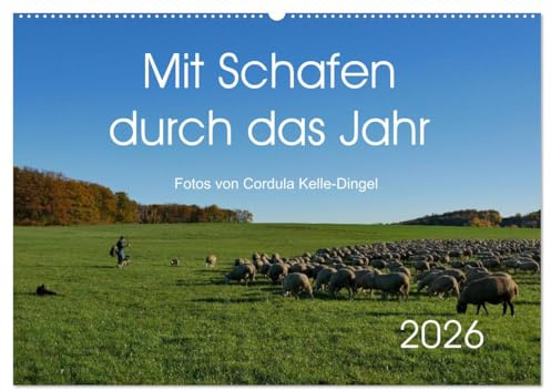 Mit Schafen durch das Jahr (Wandkalender 2026 DIN A2 quer), CALVENDO Monatskalender: Impressionen aus mehreren Jahren unterwegs mit einem Schäfer (CALVENDO Tiere)
