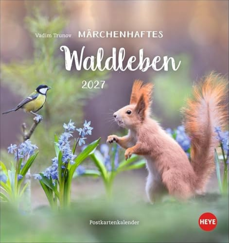 Vadim Trunov: Märchenhaftes Waldleben Postkartenkalender 2027: Der Tierfotograf fängt den Zauber der Waldtiere in seinen atemberaubenden Bildern ein. Süßer Tierkalender 2027.