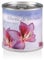 Extragifts Blumen in der Dose – Orchideenbaum (Bauhinia purpurea)