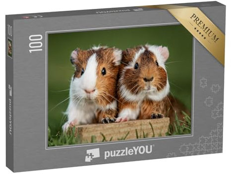 puzzleYOU: Puzzle 100 Teile „Zwei Meerschweinchen“ – aus der Puzzle-Kollektion Meerschweinchen, Bauernhof-Tiere