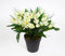 Krokusbusch 28cm weiß-Creme im Topf PM Kunstpflanzen Kunstblumen künstlicher Crocus Krokus Blumen