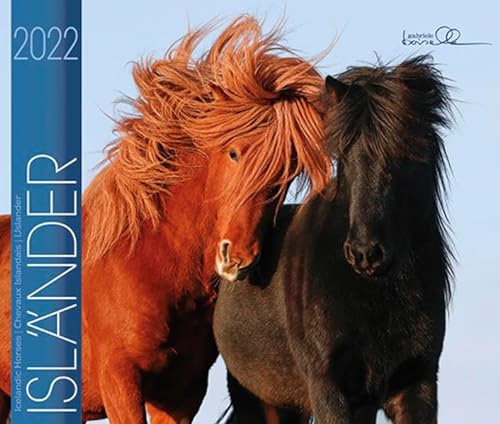 Isländer 2022: Island Pferde