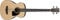 Ibanez Acoustic PCBE12-OPN Open Pore Natural