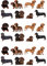 24 Stand Up Dachshund Sausage Dog Puppy Themed Edible Wafer paper Cake Toppers Decorations
