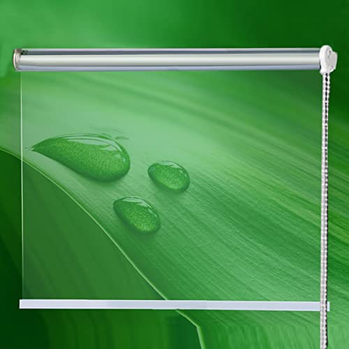Estores Enrollables Laterales para Terraza, Pérgolas, Toldos de Jardín Transparentes, Persianas Enrollables de Protección Solar, Estores Enrollables Transparentes Impermeables con Accesorios, Estore