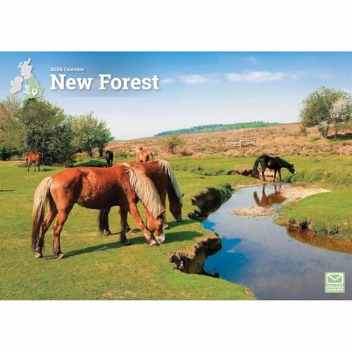 New Forest A4 Calendar 2026, Wall Calendars, Month To View, Travel, Gift