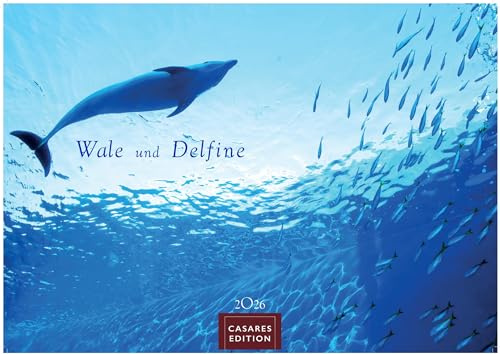 Wale und Delfine Kalender 2026 – Wandkalender | Fotokalender Tierkalender 35x50cm Grosses Format - Hochwertige Fotografien von Walen und Delfinen, die jeden Monat begeistern.