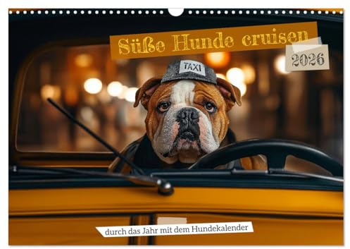 Süße Hunde cruisen - durch das Jahr mit dem Hundekalender (Wandkalender 2026 DIN A3 quer), CALVENDO Monatskalender: Lustiger Hundekalender: Süße Hunde ... Kinder und Tierliebhaber. (CALVENDO Tiere)