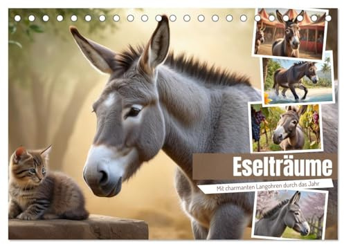 Eselträume (Tischkalender 2026 DIN A5 quer), CALVENDO Monatskalender: Wunderschöne Eselmotive (CALVENDO Tiere)