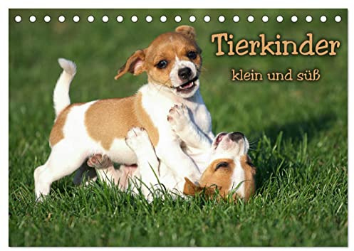 Tierkinder klein und süß (Tischkalender 2026 DIN A5 quer), CALVENDO Monatskalender: Ganze viele verschiedene Tierkinder (CALVENDO Tiere)