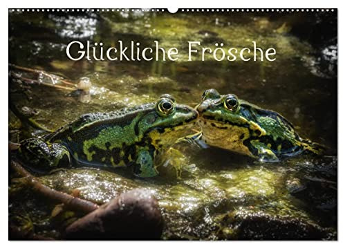 Glückliche Frösche (Wandkalender 2026 DIN A2 quer), CALVENDO Monatskalender: Heimische Frösche mit der Kamera eingefangen (CALVENDO Tiere)