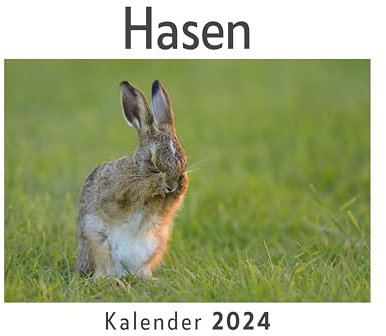 Hasen (Wandkalender 2024, Kalender DIN A4 quer, Monatskalender im Querformat mit Kalendarium, Das perfekte Geschenk)
