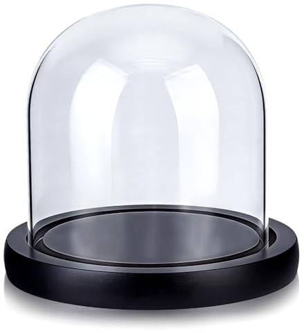MAYJOYDIY Glass Dome Cloche 12.1x11.5cm Glass Cloche Display Dome Bell Shape Decorative Bell Jar for Plants Collectibles Figurines Eternal Flower Photos(Black Base)