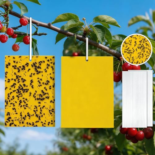 50 PC Gelbtafeln Trauermücken, Trauermü-cken Bekämpfen, 20cmX15cm Gelbtafeln Gegen Trauer-mücken, Gelbsticker Trauermüc-Ken, für Raupenleim,Gegen Trauer-mücken, Blattläuse, Nematoden, Weiße Fliegen