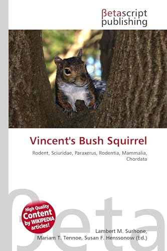 Vincent's Bush Squirrel: Rodent, Sciuridae, Paraxerus, Rodentia, Mammalia, Chordata