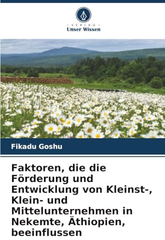 Faktoren, die die Förderung und Entwicklung von Kleinst-, Klein- und Mittelunternehmen in Nekemte, Äthiopien, beeinflussen