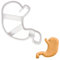 BAKERLOGY Stomach Cookie Cutter - Detailed Biscuit Cutter Design for Baking and Crafts, Ideal on Fondant, Dough, Clay