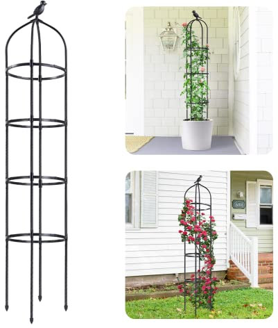 Idzo Treillis obélisque en Plastique pour Plantes grimpantes d'extérieur de 1,5 m de Haut, Treillis de Jardin de 177,8 cm pour Support de Plantes en Pot, 1 pièce, revêtement en Plastique