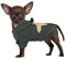 PetSmiler Hundepullover - Chihuahua Pullover Hundepullover mit Kapuze Hunde Pullover Kleine Hund, Hundepulli Winter Hundepullover Warm Strickpulli Hund 1,5-10 kg (Dunkelgrau XS)