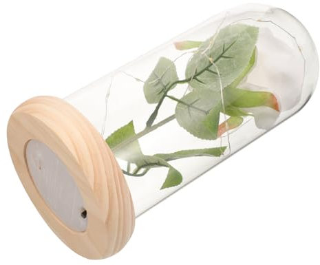 TOPPERFUN 1pièce Ornement De Maison Saint-Valentin Rose Éternelle sous Cloche Verre avec LED Décoration Créative pour Et Fête Rose Blanche sur Socle