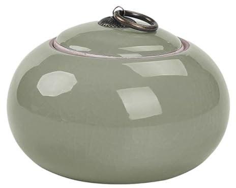 DOITOOL Keramik Teedose 250ml mit Deckel, Metallgriff, Luftdicht | Tee Aufbewahrung, Losen Tee, Lichtgrün, Legierungselemente, Glatte Oberfläche, Klassisch