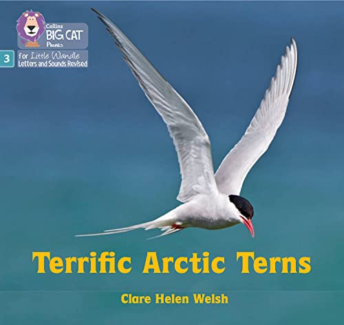 Terrific Arctic Terns: Phase 3 Set 2 (Big Cat Phonics for Little Wandle Letter)